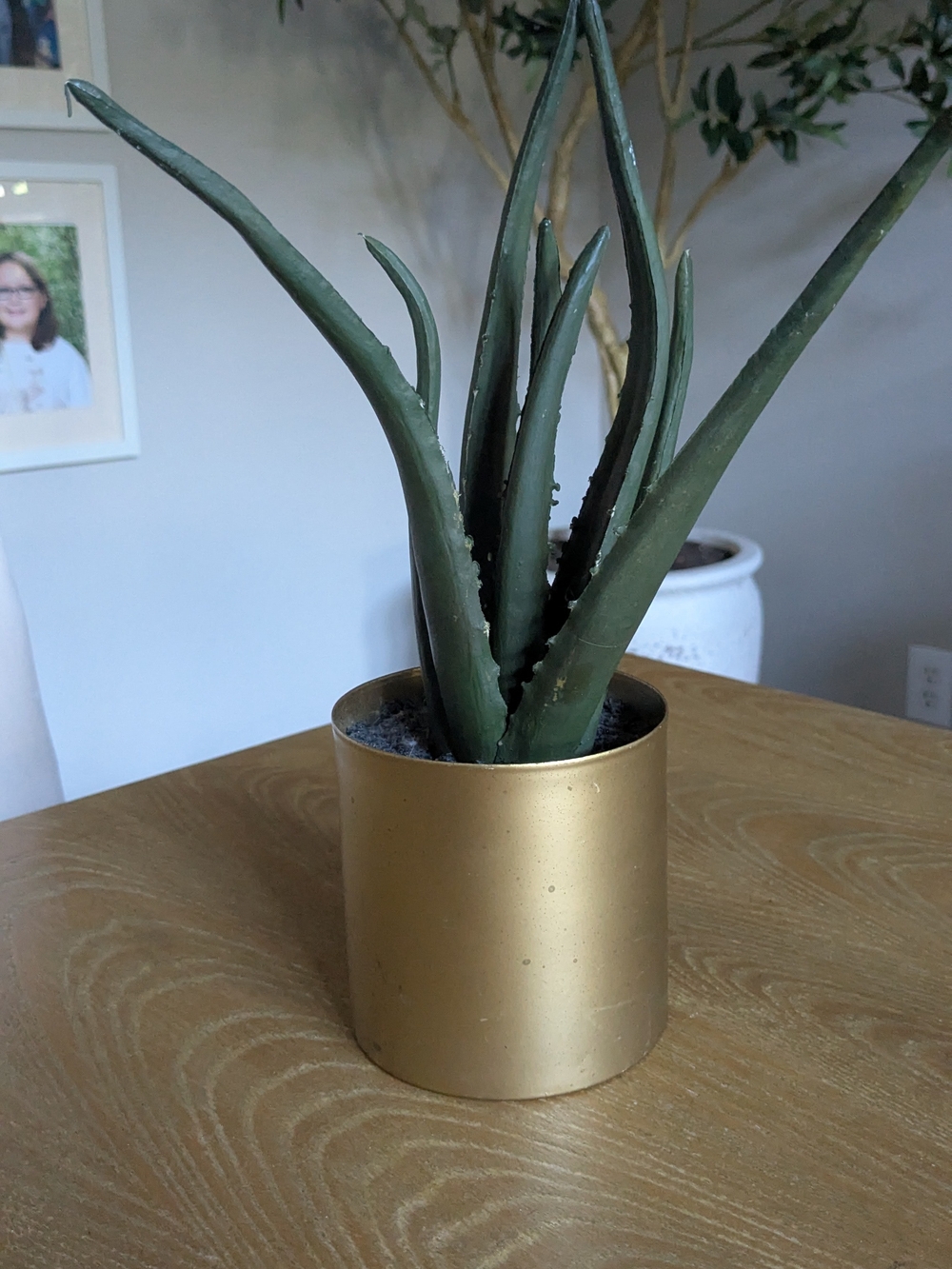 Project 62 Faux Aloe Plant in Gold Planter